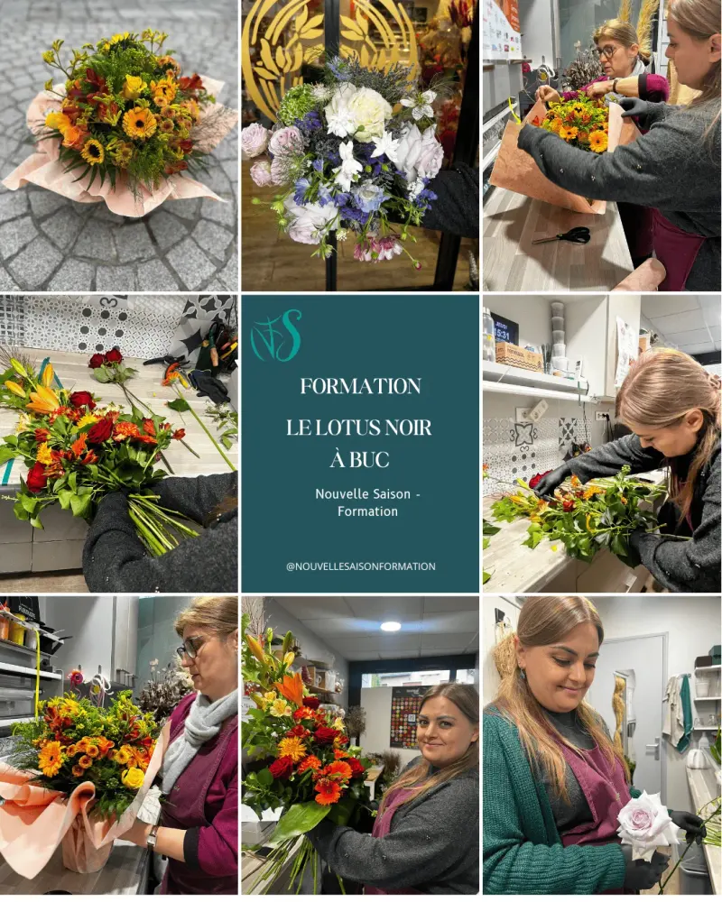 Formation Le Lotus Noir - Buc