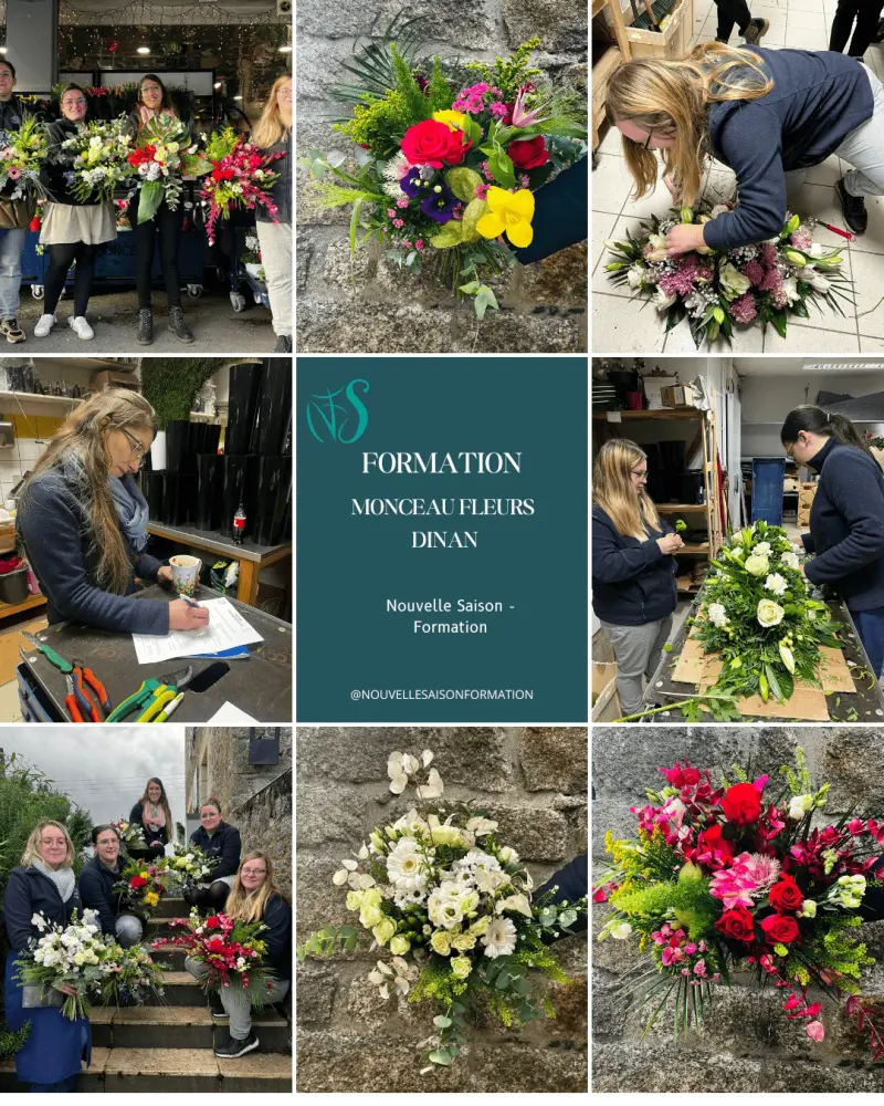 Formation Monceau Fleurs - Dinan