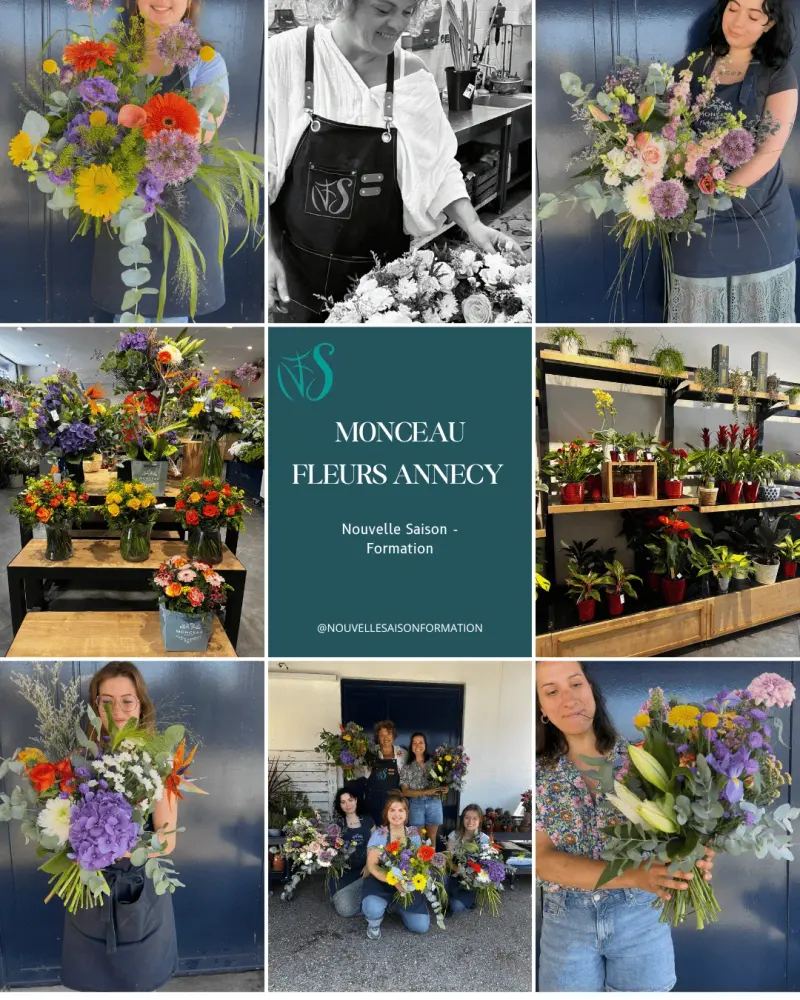 Formation Monceau Fleurs - Annecy